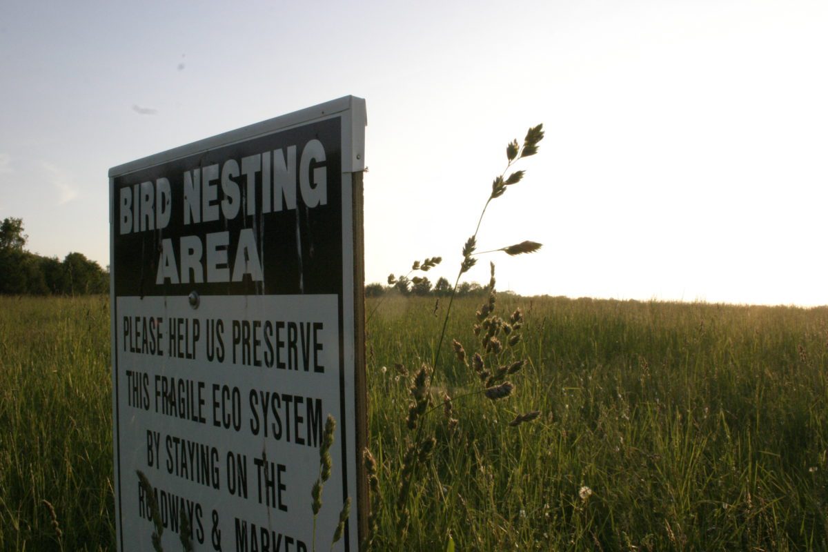 Tarrywile Park Nature Walk sign warning of bird nesting area keep out of hayfield