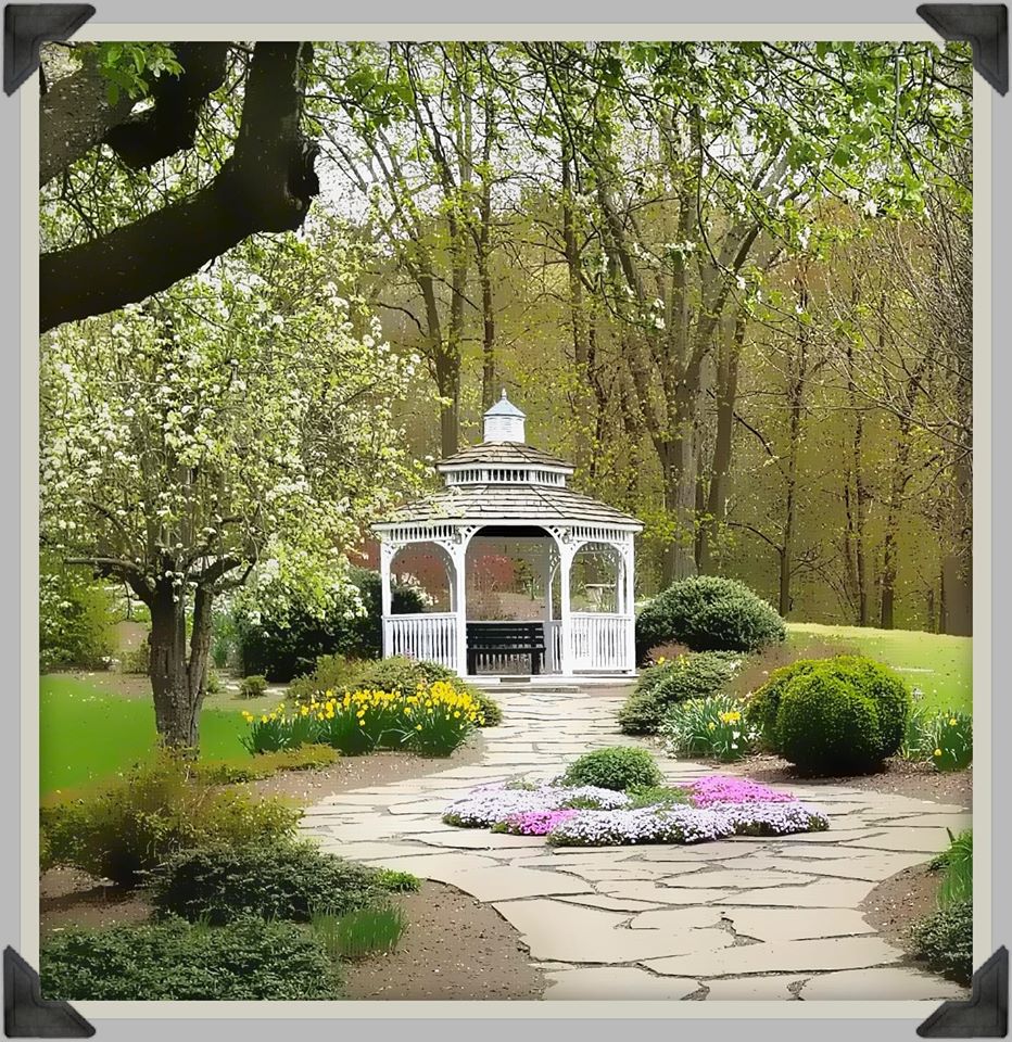 Micro Wedding at Tarrywile gazeo-with-flowers